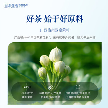 碧潭飘雪茉莉花茶 峨眉山特级50g*2双罐茶叶礼盒装 伴手礼35004