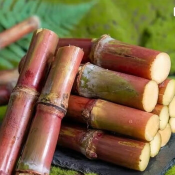 水果蔬菜现砍云南红皮甘蔗新鲜水果超甜甘蔗非黑皮糖甘蔗多汁孕妇水果