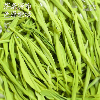 寻西湖茶叶绿茶毛尖茶明前特级信阳原产浓香新茶送礼茶叶礼盒250g 寻西湖茶叶绿茶毛尖茶明前特级信阳原产浓香新茶送礼茶叶礼盒250g