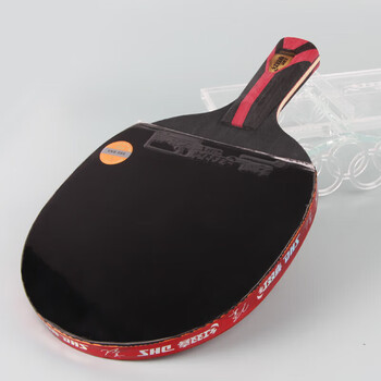 红双喜DHS狂飚八星乒乓球拍直拍比赛成品单拍芳碳H8006赠球