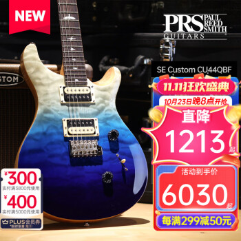 prs custom24 - 京东