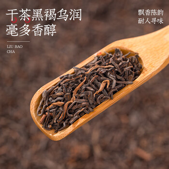 音朗 茶叶黑茶 广西六堡茶2012年陈化十年窖藏陈香茶叶礼盒送长辈300g