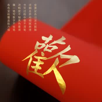 梅林笔庄金墨汁毛笔墨水学生用对联书法作品专用高光金粉大容量大瓶装墨水春联对联斗方快干1000G金墨