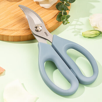 得力（deli）园艺剪刀修剪树枝花艺盆栽剪 家用鲜花插花专用剪刀 绿箩绿植花卉果树 77752 蓝色