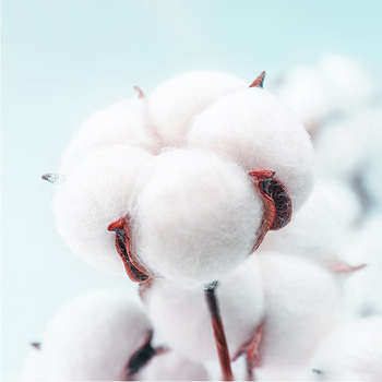 京东京造 138g加厚阿瓦提长绒棉毛巾 7A不掉毛纯棉男女洗脸巾 3条 鲜亮色