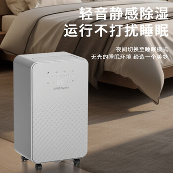 荣事达（Royalstar）家用除湿机12L/天2-20㎡适用回南天首选负离子净化轻音除湿RSD-FD5181