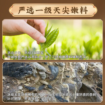 白沙溪 安化黑茶 2022年金花茯茶砖茶天尖嫩料天茯茶叶礼盒1000g送礼袋
