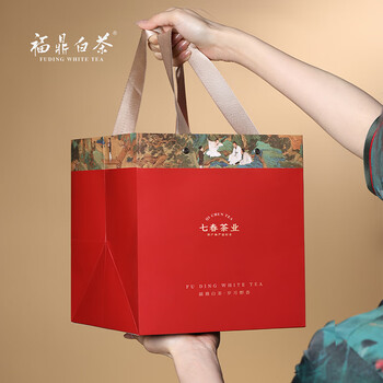 七春特级白毫银针 茶叶礼盒300g福鼎2023年茶叶冷泡自己喝端午送长辈