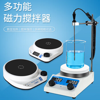恩谊 小型磁力搅拌器实验室迷你磁力搅拌器 【3L】数显搅拌器