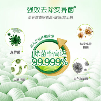 立白大师香氛卫仕洗衣液 柔顺衣物衣物除菌液650g+去污湿巾单片装