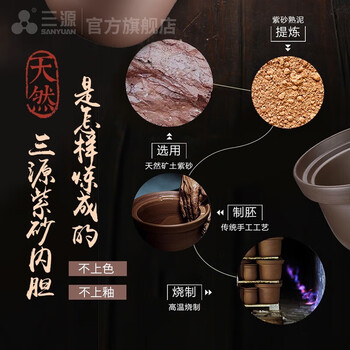 三源（SANYUAN）紫砂电炖锅全自动家用大容量煲汤煮粥锅不溢锅多功能(适合2-4人) 3L