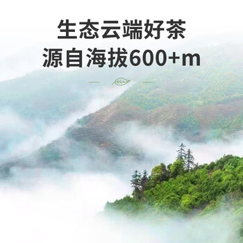 顶青湖 特级高山蜜兰香凤凰单枞茶 头春碳焙老枞潮州乌岽单丛乌龙茶250g
