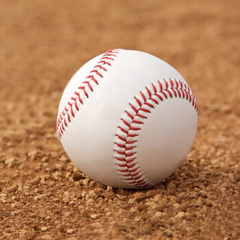 英辉(INVUI)10寸垒球中小学生训练考试用球软硬实心投掷球 2个装 英辉(INVUI)10寸垒球中小学生训练考试用球软硬实心投掷球 2个装