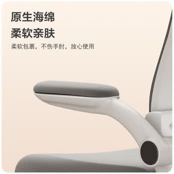 法果办公椅电脑椅职员会议椅休闲人体工学升降扶手家用椅子 白框灰网