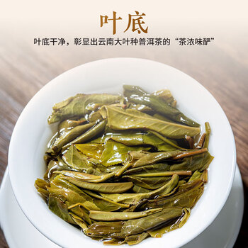 七彩雲南茶叶普洱茶 印象云南 2022年勐海普洱生茶七子饼357g 经典口粮茶