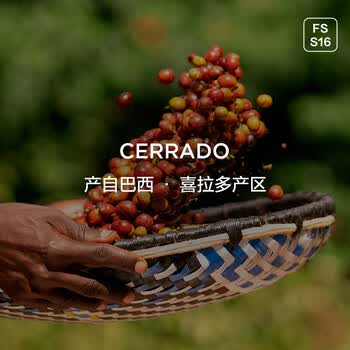 CAFFE MARYLING巴西喜拉多甜蜜波旁种精品咖啡豆手冲新鲜中深烘焙罐装150g