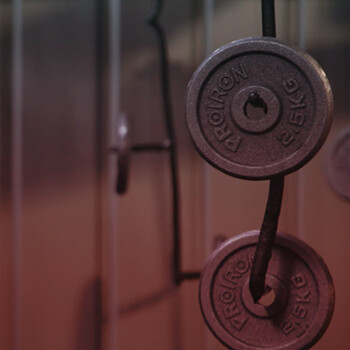 PROIRON普力艾 杠铃哑铃男配重片铸铁家用续重举重片孔径2.5厘米5公斤*2