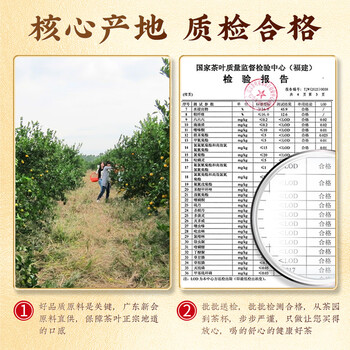 中谷御品新会小青柑生新会晒青柑宫廷普洱茶送礼臻品送礼茶叶礼盒500g