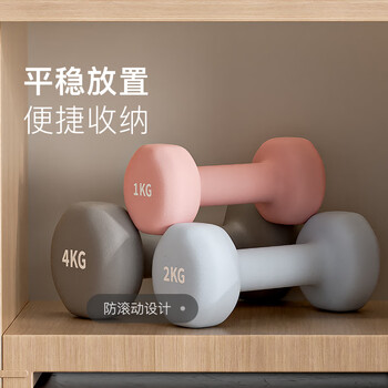 Keep哑铃女士健身家用彩色浸塑环保手铃亚铃全身塑形紫灰色3kg*2