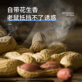 地依猫粘鼠板超强威力大号加厚灭鼠商家用黏鼠贴抓捉捕老鼠粘鼠板10片