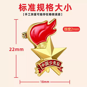 欧唛（oumai）【开学季】标准队徽立体火炬款少先队队徽胸章圆形别针磁吸小学生队章 立体队徽别针款 10枚装