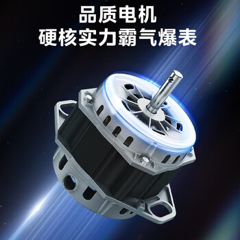 美的（Midea）波轮洗衣机全自动家用 MB55V36E 5.5公斤 宿舍租房 迷你洗衣机小型 随心洗  家电