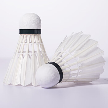 亚狮龙（RSL）C3号全圆鸭毛专业比赛羽毛球稳定耐打羽球76速12只装/桶