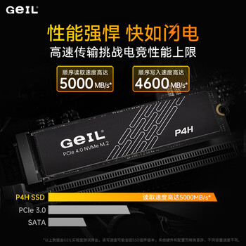 GEIL金邦 1TB SSD固态硬盘 M.2接口(PCIe 4.0 x4)NVMe SSD游戏高性能版 P4H系列 GEIL金邦 1TB SSD固态硬盘 M.2接口(PCIe 4.0 x4)NVMe SSD游戏高性能版 P4H系列
