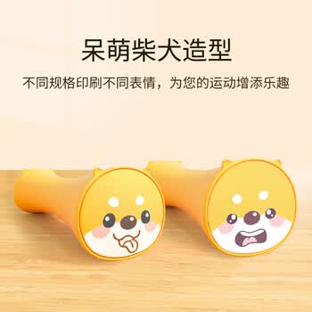 PROIRON普力艾 哑铃硅胶女士家用健身练臂运动器材儿童小哑铃 1.5KG*2