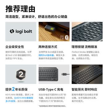 罗技（Logitech）大师系列 MX Keys Mini无线蓝牙键盘 高端办公智能背光 带接收器 商用版 石墨黑