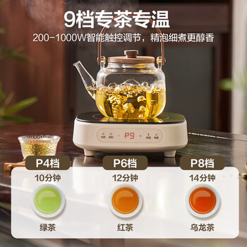 苏泊尔（SUPOR）电陶炉煮茶电磁炉家用电磁炉灶新型迷你小型简易大功率速热轻音火锅围炉煮茶炉C10-CS15