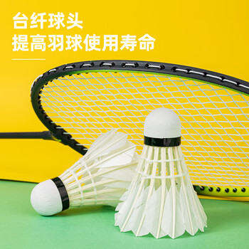 得力（deli）鹅毛比赛训练耐打型室内外稳定飞行羽毛球 经济款6只装