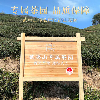 去寻红茶武夷山金骏眉特级250g新茶叶礼盒装送礼物品