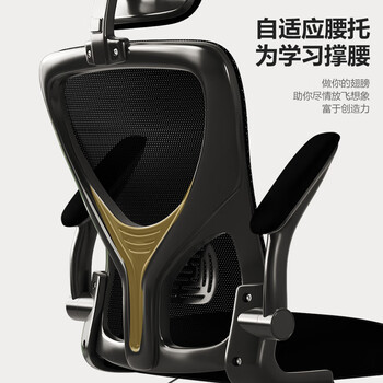 星恺（XINGKAI）电脑椅子家用办公椅会议椅靠背椅人体工学椅 BG215全黑头枕逍遥款