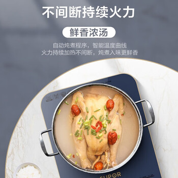 苏泊尔（SUPOR）电磁炉 家用精控恒温2200W大功率195mm大线圈小火持续加热防辐电磁灶火锅炉 配炒锅+汤锅 C22-ID31