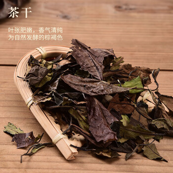 政和白茶2019年润香有机寿眉50g 春茶散茶高山政和白茶口粮茶叶