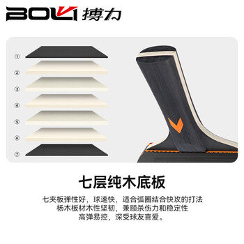 搏力（BOLI） 乒乓球拍 F01初学涩性反胶海绵乒乓球拍套装 2件起售 DH