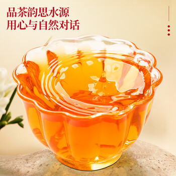 三隐 红茶 正山小种武夷山新茶浓香型茶叶礼盒装500g年货过节送老丈人