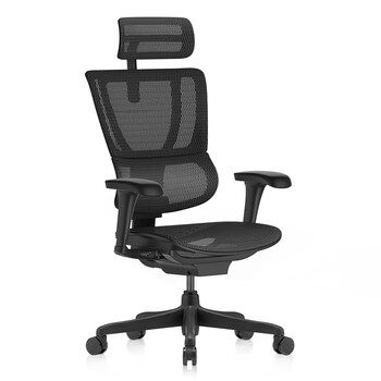 Ergonor保友优b2代 人体工学椅电脑椅办公椅护腰电竞椅 黑色网