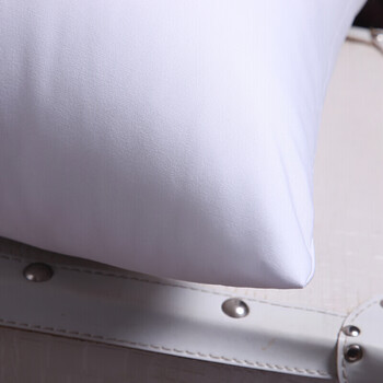 艾薇抱枕家纺 高弹沙发抱枕芯 汽车方垫芯 办公室靠垫芯60*60cm单只装 艾薇抱枕家纺 高弹沙发抱枕芯 汽车方垫芯 办公室靠垫芯60*60cm单只装