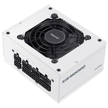 鑫谷（segotep）（Segotep）GM650W-SFX冰山版金牌全模组电源（原生PCIE5.0/白色模组线/micro电脑机箱小电源）