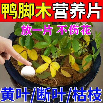 香緣花卉