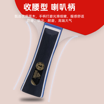 匹克乒乓球拍专业成人中小学生比赛训练横拍对拍套装含三只球