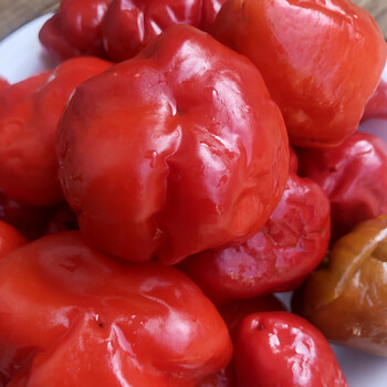 鹿色桶装红灯笼泡椒安徽霍山漫水河特产泡灯笼椒圆辣椒珠子椒泡椒牛蛙