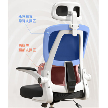 中伟电脑椅家用久坐学习座椅人体工学椅办公椅子转椅休闲椅无枕逍遥