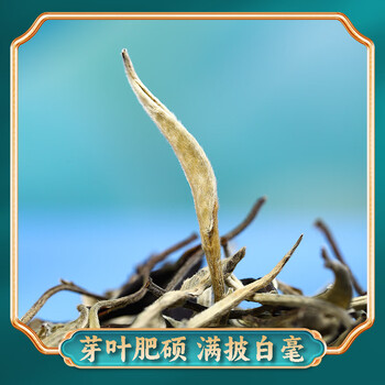 滇吉號茶叶2025年景谷云南月光白大叶种白茶古树白牡丹500克