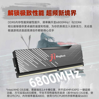 金百达（KINGBANK）32GB(16GBX2)套装 DDR5 6800 台式机内存条海力士A-die颗粒 黑刃无灯 C34 Deepseek硬件