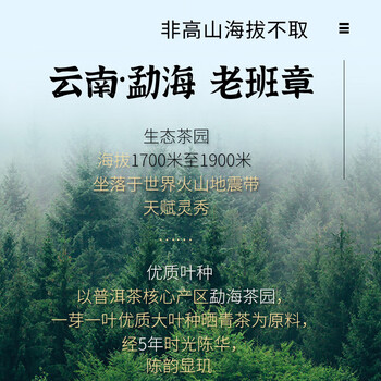 普洱茶（PUER）五年老班章七子饼茶357g地标品牌云南古树茶叶过年年货送长辈送礼