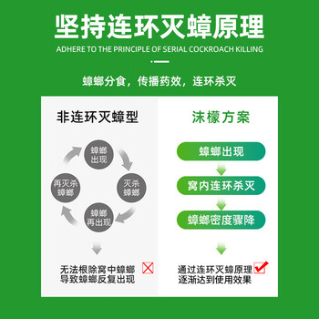 沫檬蟑螂药蟑螂屋12枚 全窝端杀蟑饵剂家用连环诱杀厨房室内杀蟑神器