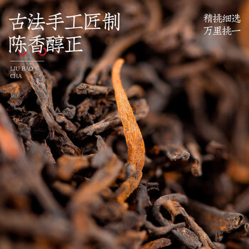 音朗 茶叶黑茶 广西六堡茶2012年陈化十年窖藏陈香茶叶礼盒送长辈300g